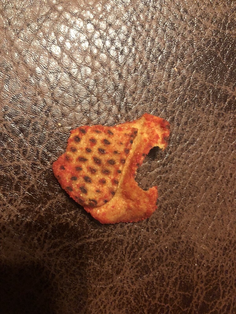 Deformed Taki Chip snapping turtle look