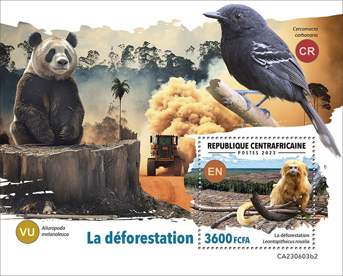 Deforestation