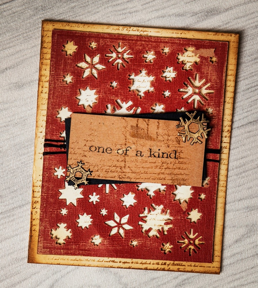 Sizzix Thinlits Artic die #664967 Retail $16.99 designer Tim Holtz