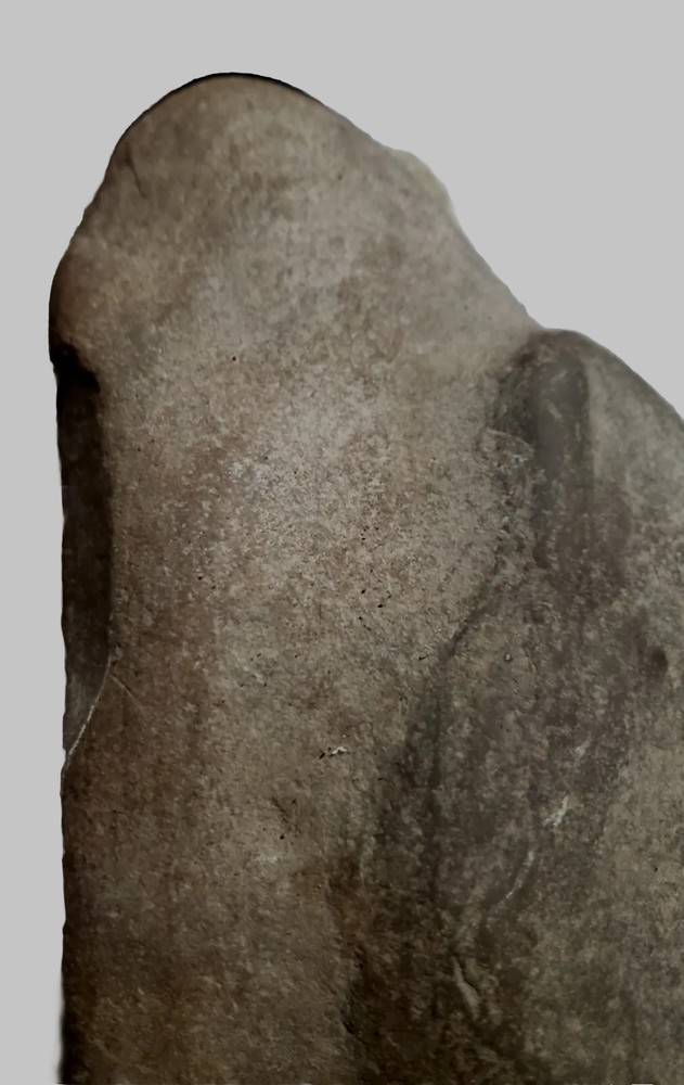 Ceremony axe "eagle"