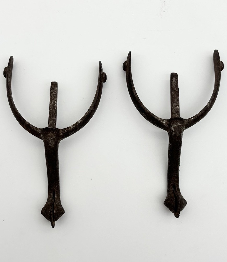 Swan Neck Spurs