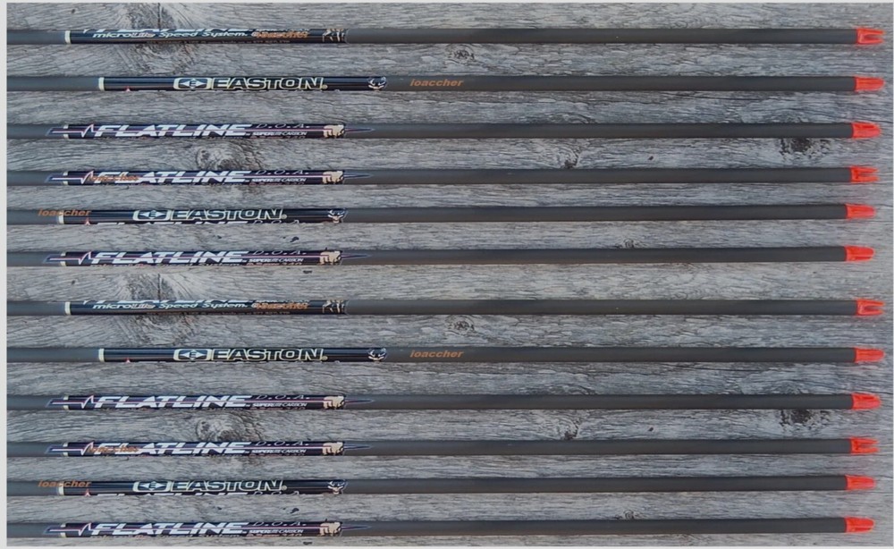 FLATLINE CARBON EASTON  1 DZ ARROWS