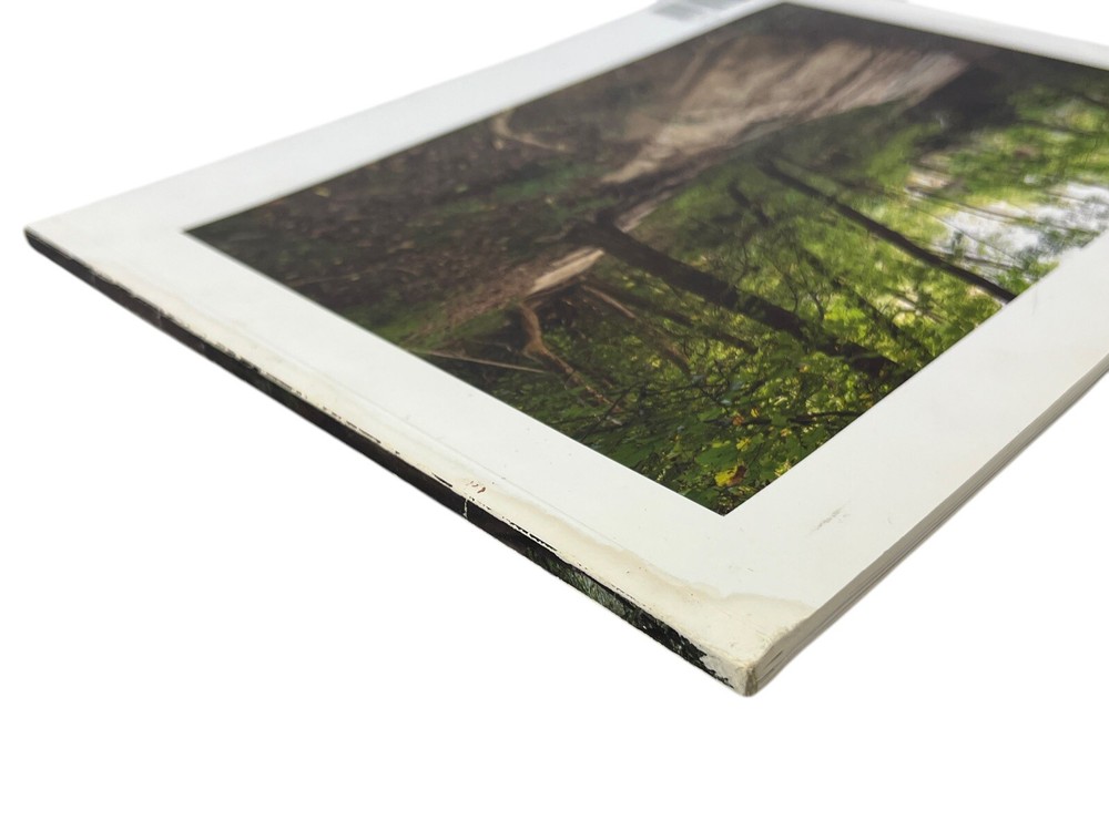 Winifred Lutz BETWEEN PERCEPTION & DEFINITION 2012 Work Art Exhibition Catalog