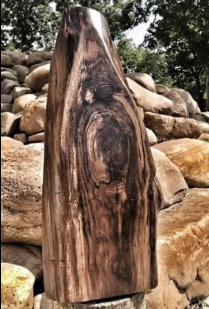 Black Walnut Bottle Wall Display