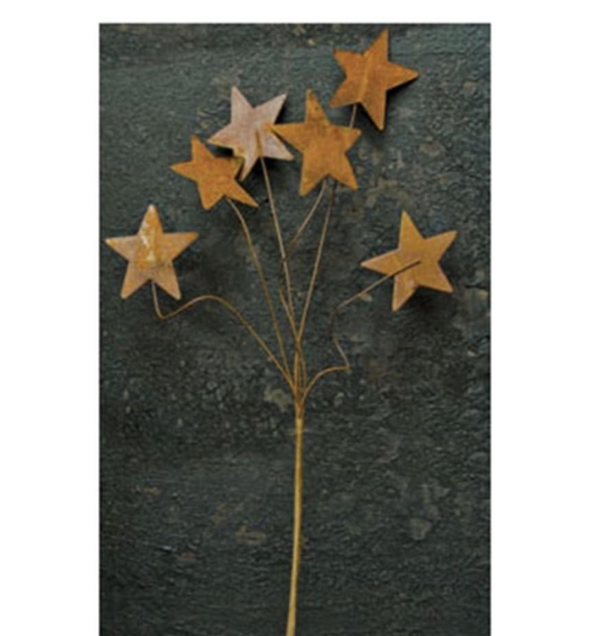 Rusty Star Pick, 12", Primitive Accent, Farmhouse Decor, Rustic Decor