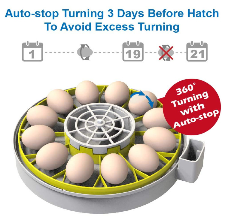 12 Egg Incubator with Humidity Display, Egg Candler, Automatic Egg Turner
