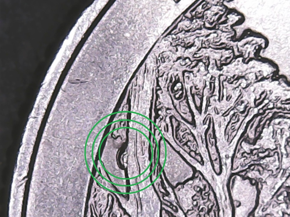 2018-p Pictured Rock ATB Quarter with Die Chips.