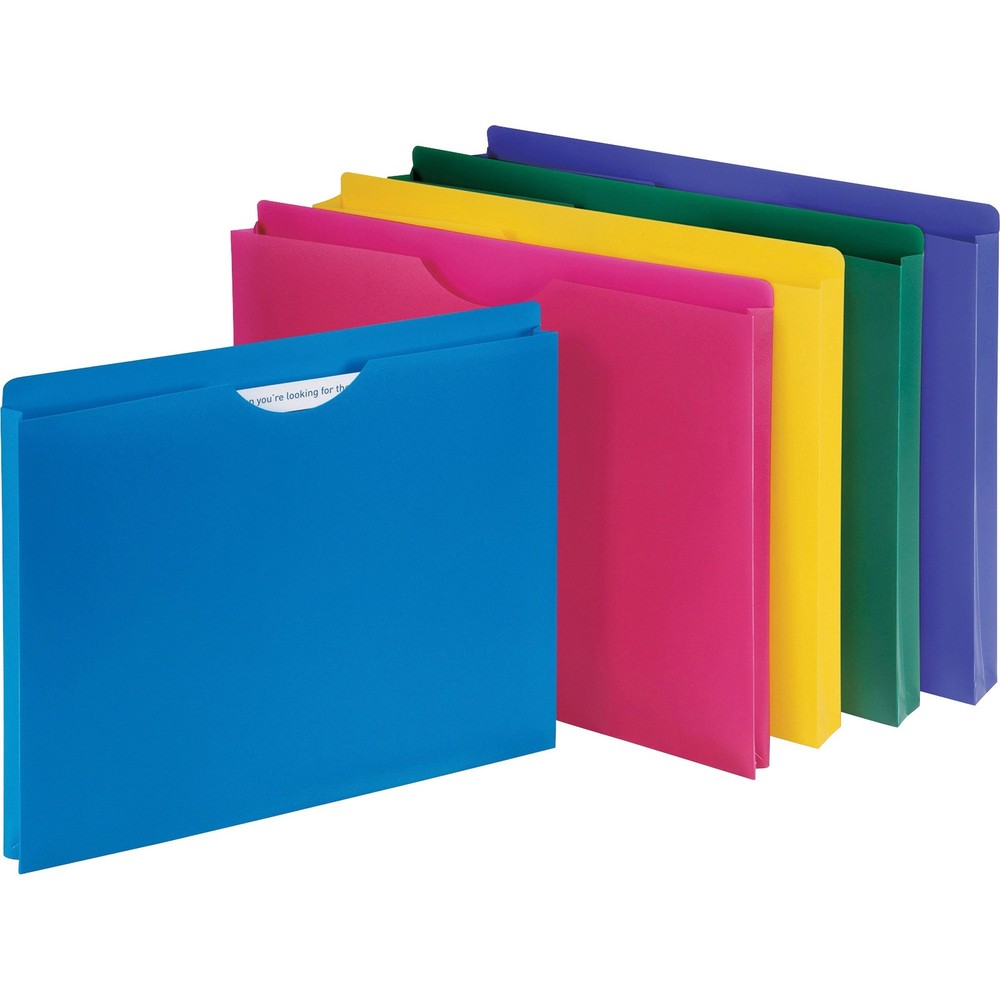 Business Source File Jacket, Assorted (44435), Pack of 10 10,