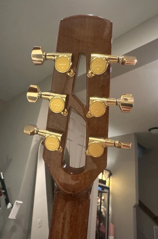 Avian guitar 4A