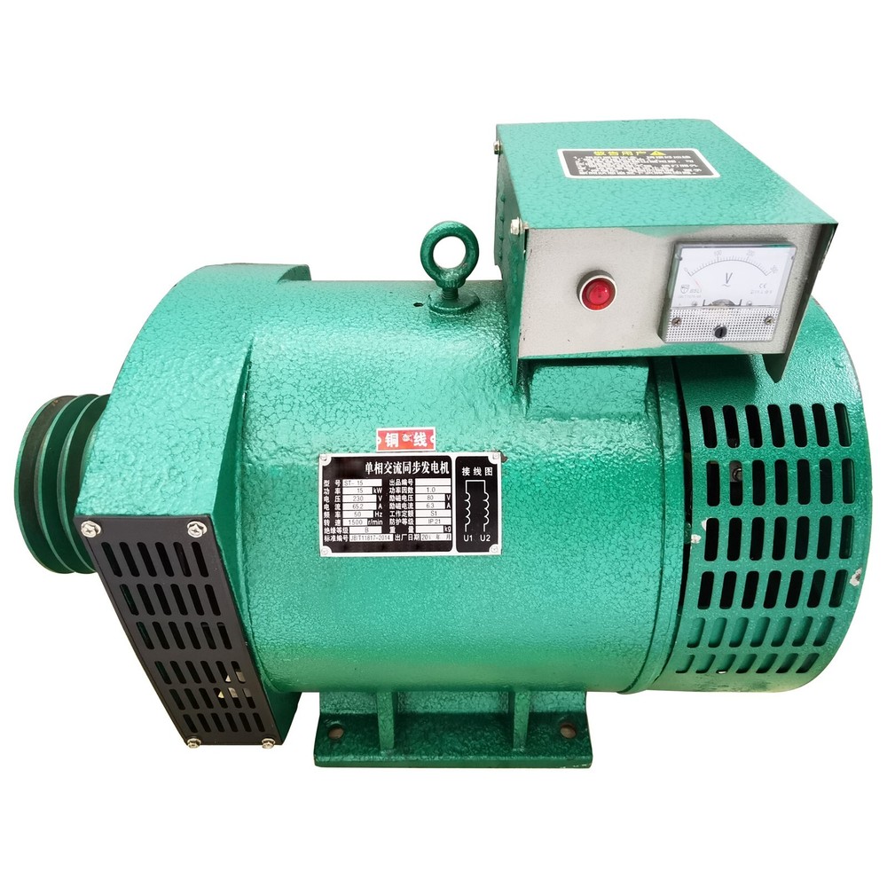 220V 1-Phase Driven Generator Brushed Generator Pure Copper Engine