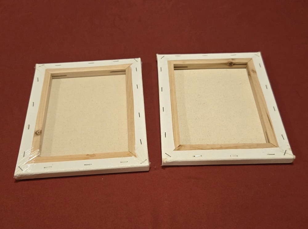2 Blank Art Canvases - 8 X 10