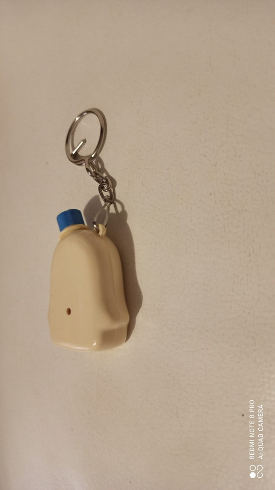 FUNNY GHOST KEYCHAIN PHOTO HOLDER