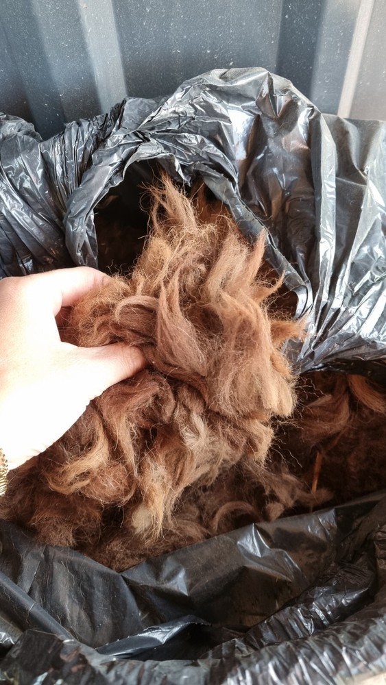 raw alpaca fiber