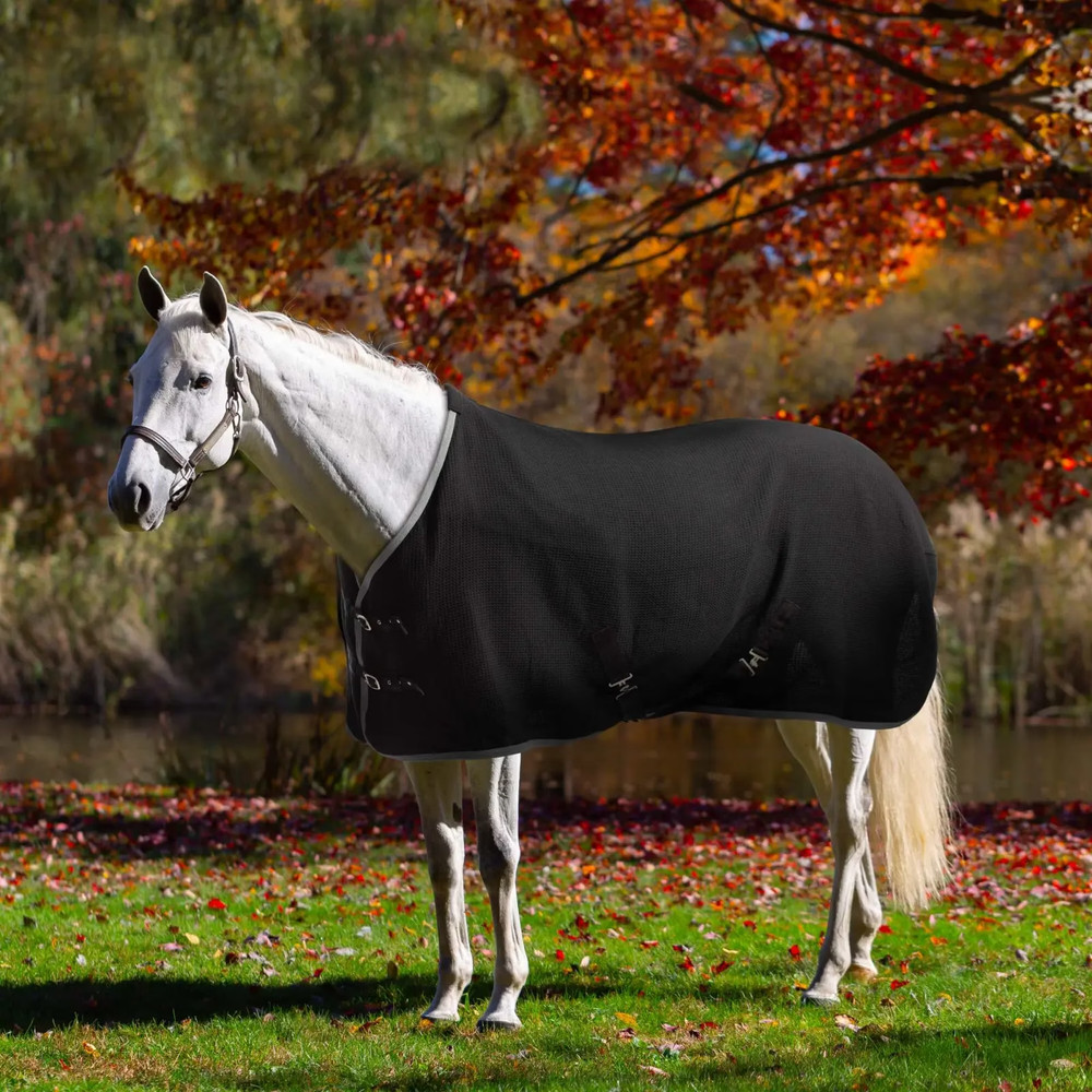 Equinavia Luftig Waffle Cooler Black 82"