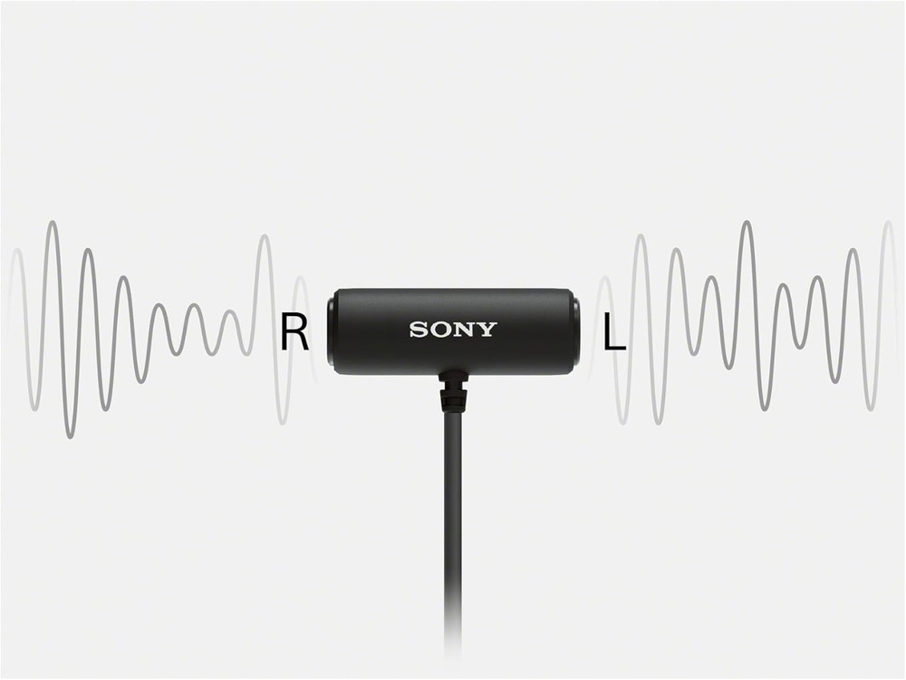 Compact Stereo Lavalier Microphone Ecmlv1,Black, Small