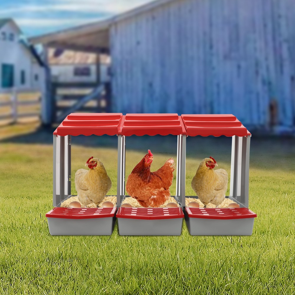 Chicken Nest Boxs, 3-Compartment Chicken Nesting Box, Chicken Laying Box