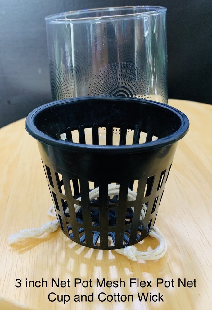 Glass Semi Hydroponic Kit