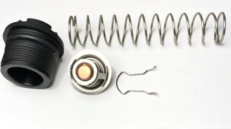 77707-0010 Thermal Regulator Kit For Pentair Sta-Rite Max-E-Therm Heaters