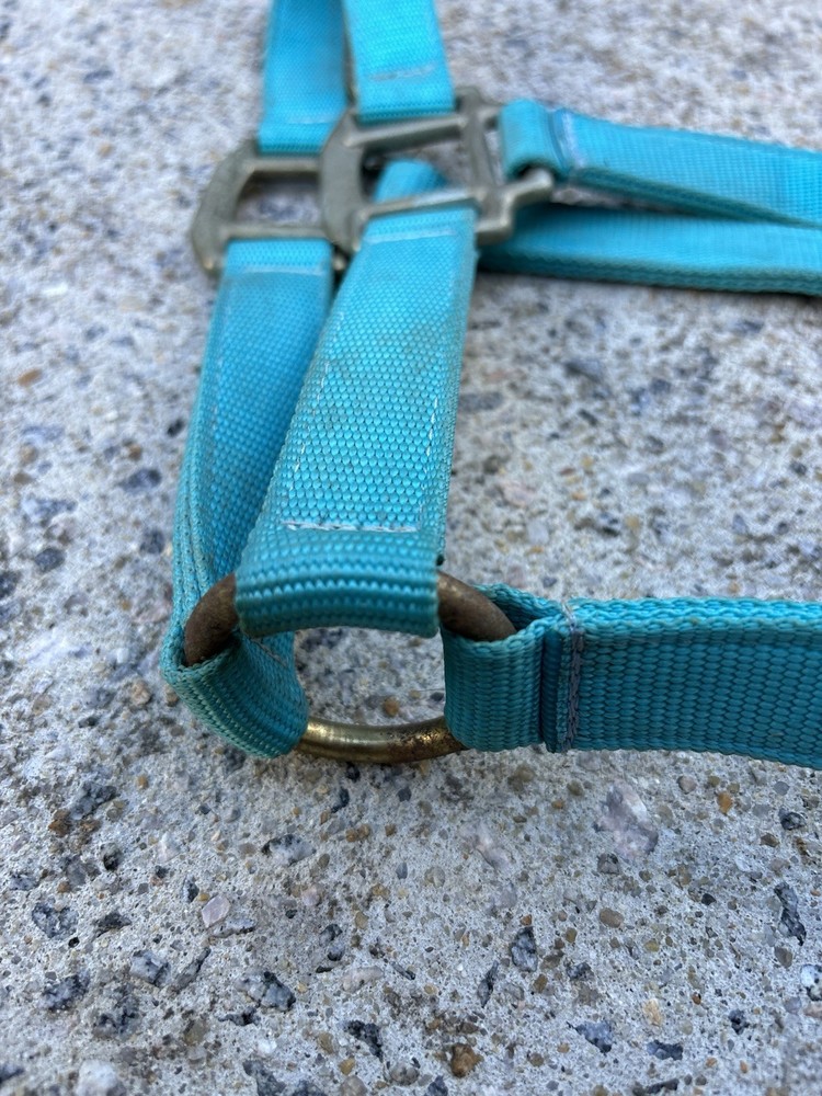 USED - Teal Blue Size Medium Horse Halter
