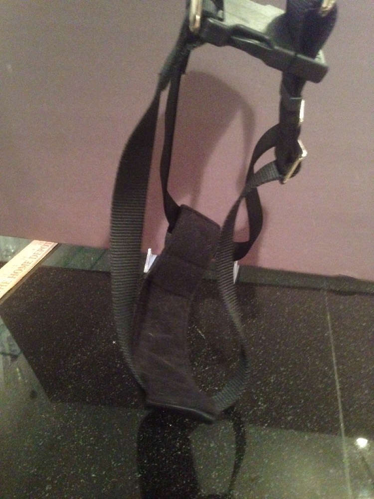Easy Rider Dog car harness MEDIUM