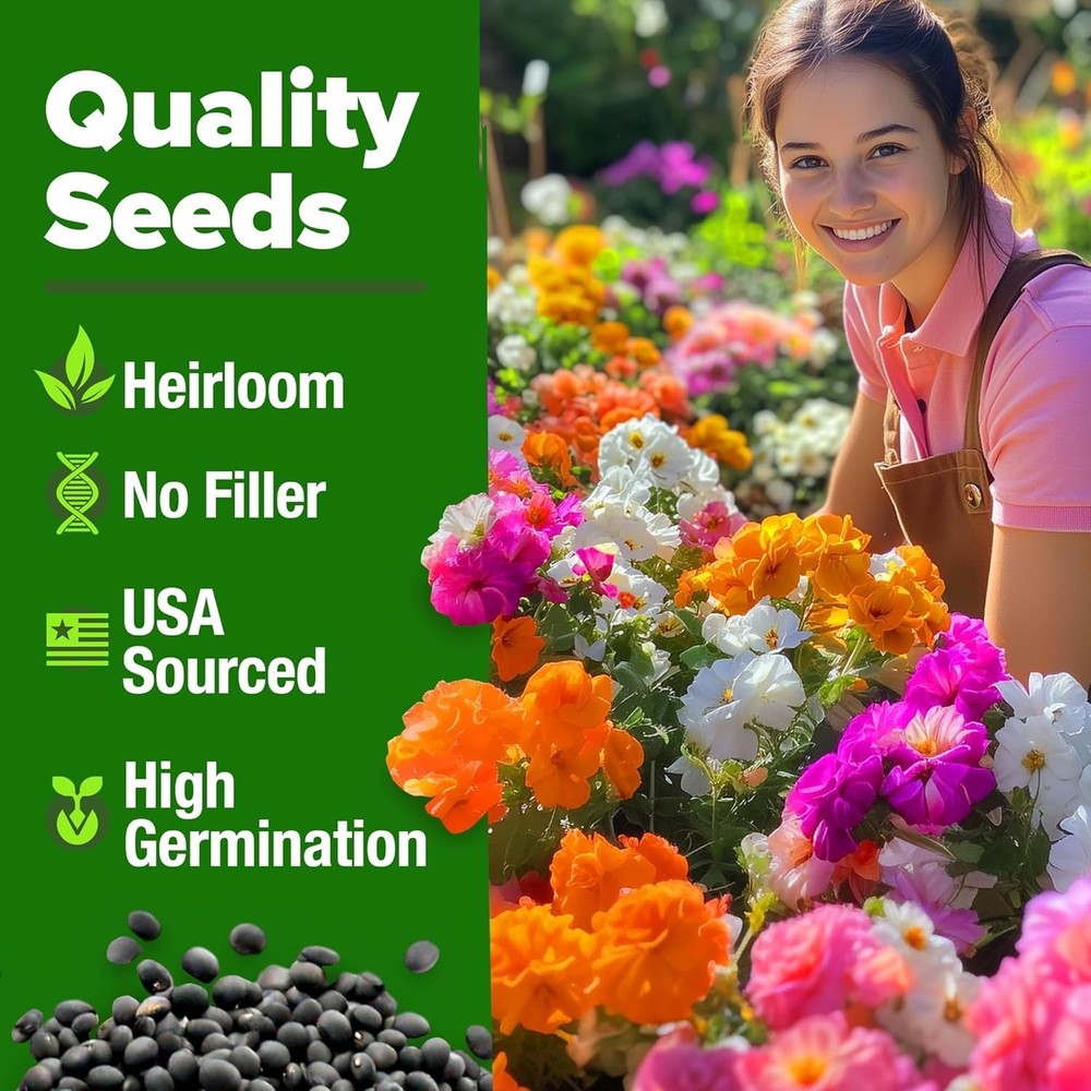 HOME GROWN 47000+ Moss Rose Seeds (Bulk Pack) Annual Flower for 2-Pack, Multi
