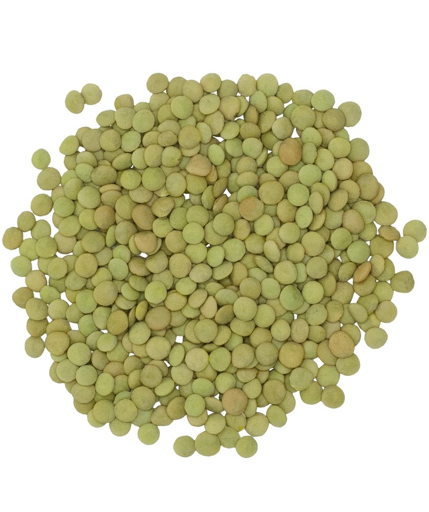 Clear Creek Bulk Green Lentils, 18 LBS