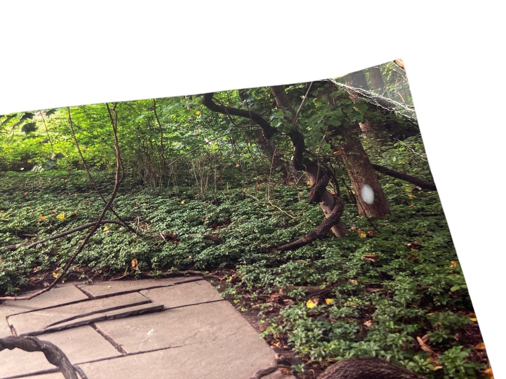 Winifred Lutz BETWEEN PERCEPTION & DEFINITION 2012 Work Art Exhibition Catalog