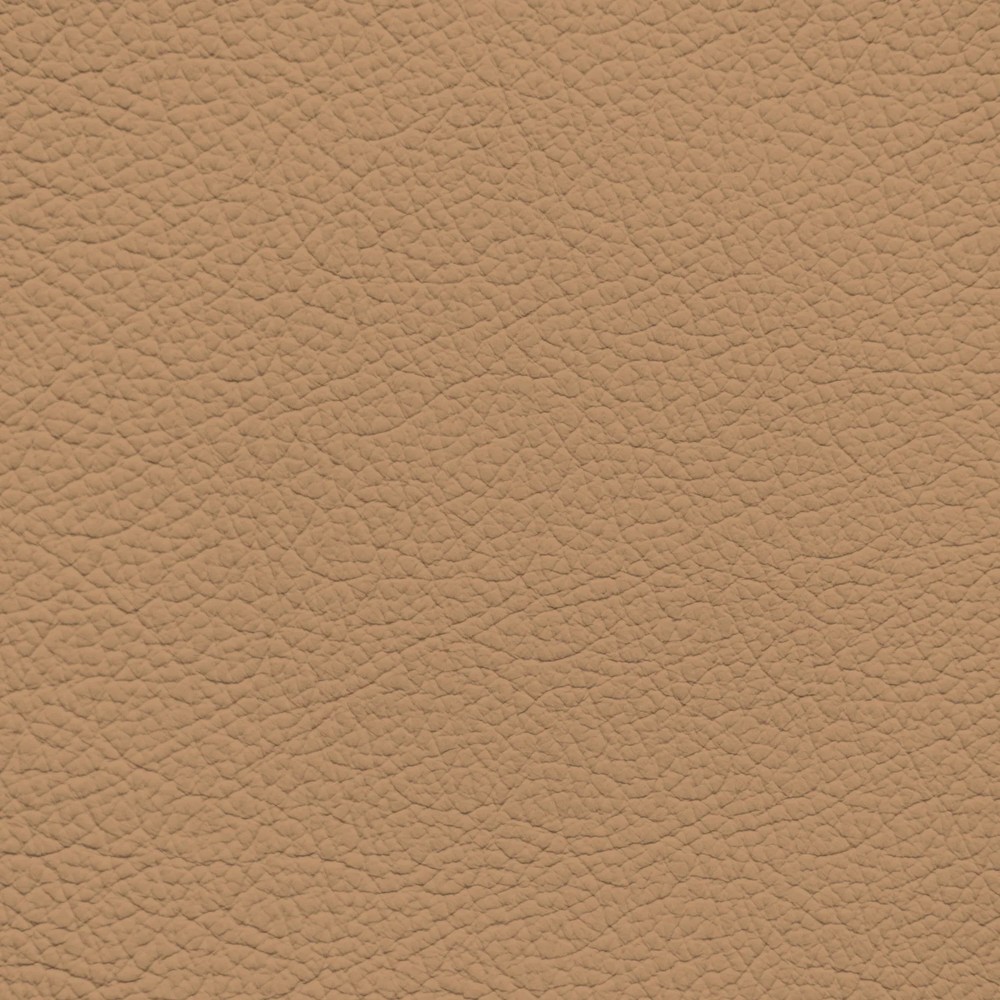 BMW Buckskin Leather Dye