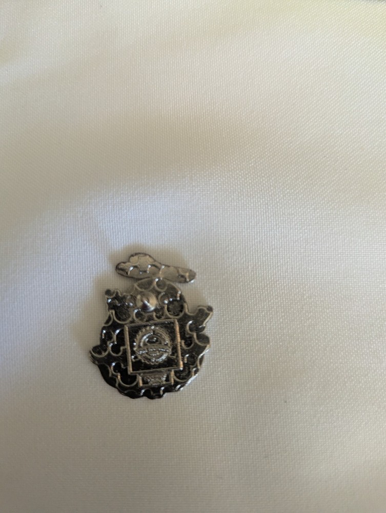 Disney Donald Duck Pin