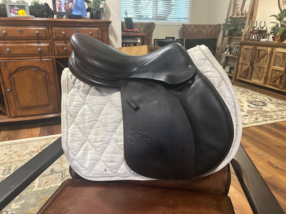 voltaire palm beach saddle 17.5
