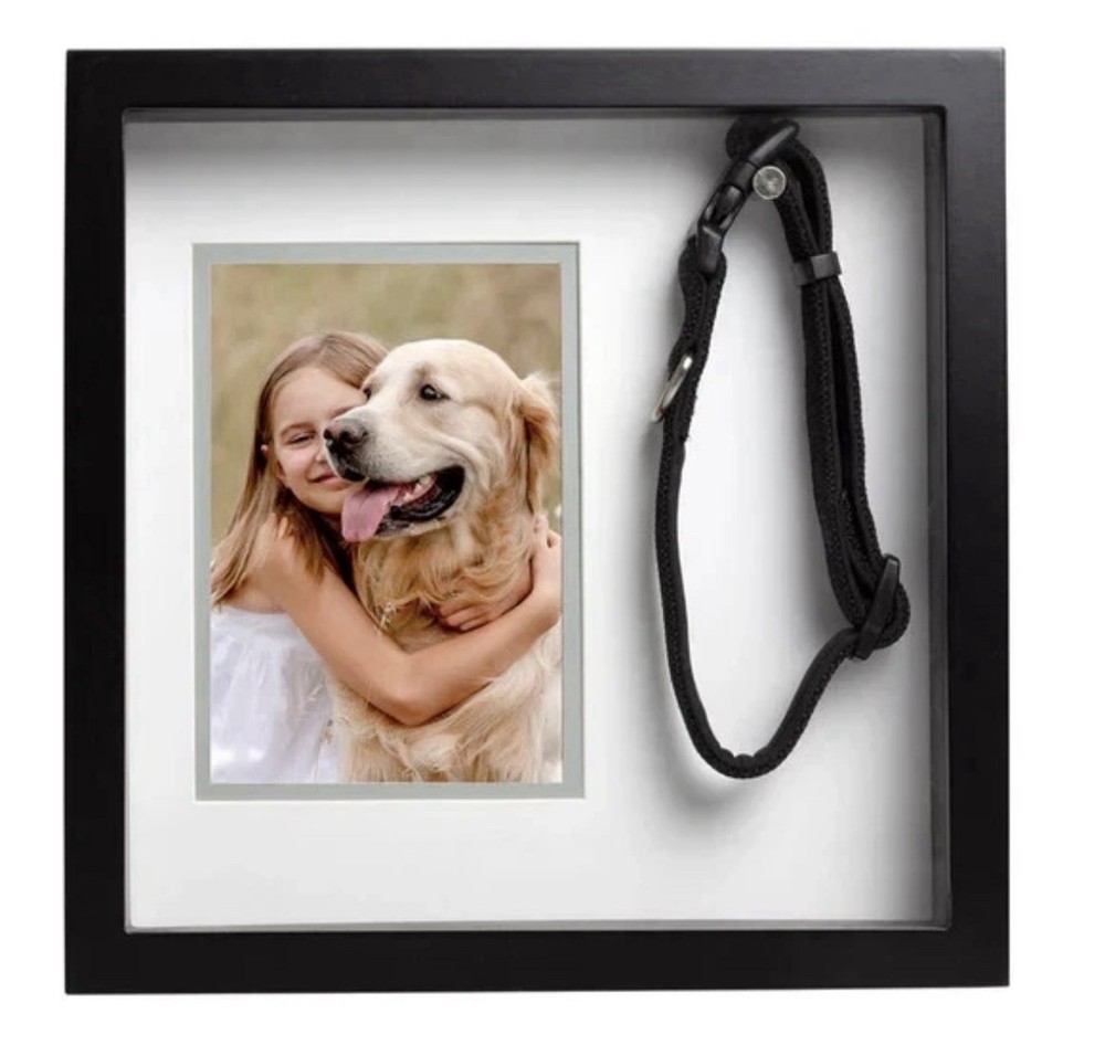Pearhead Pet Collar Picture Frame, Black - NEW 🐶 🐱 💗
