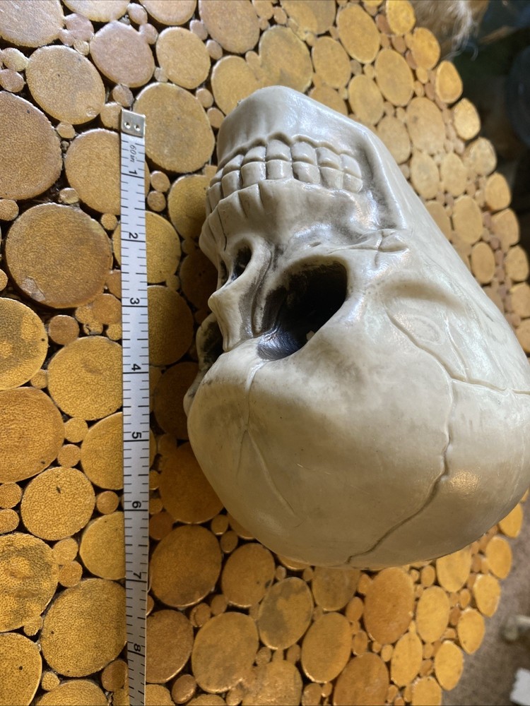 Halloween Skeleton Skull - Prop - Decor