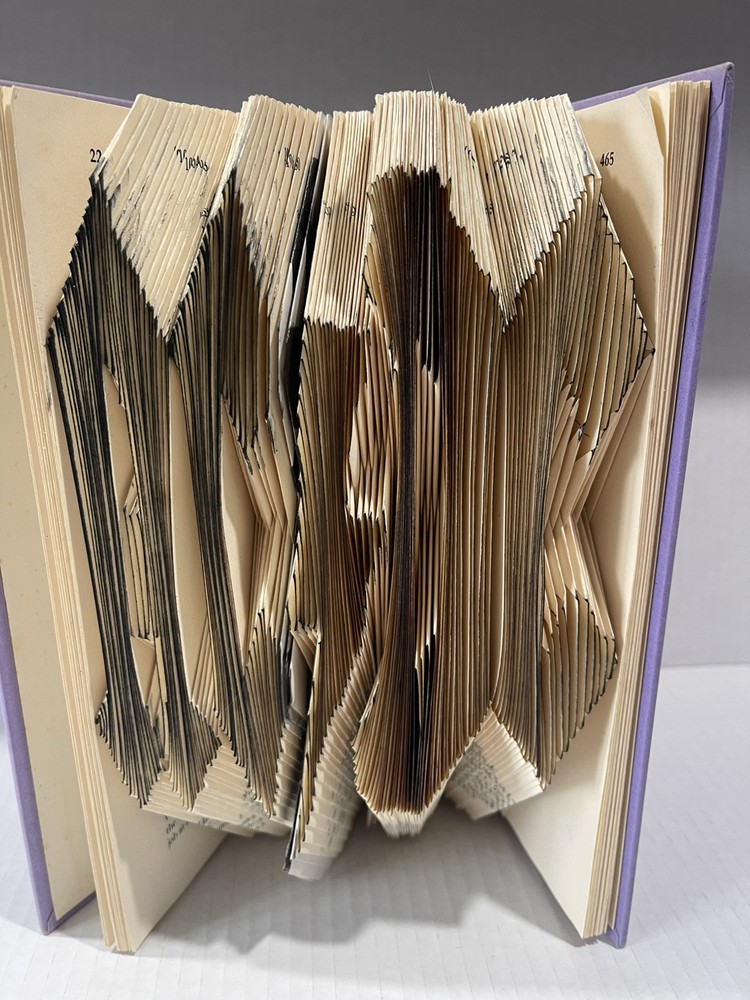 AC DC Book Folded Art