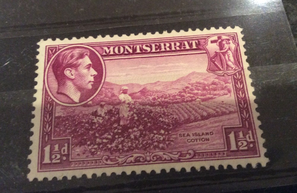 Montserrat - SG 103 - u/m - 1938/48 - 1 1/2d
