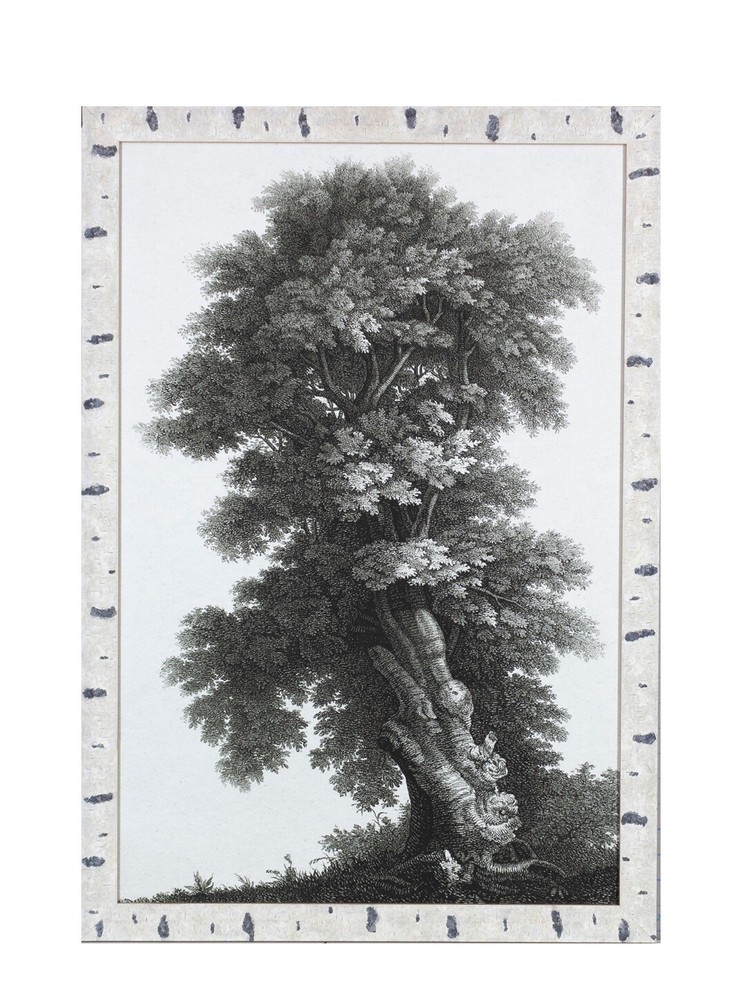 Birch Woods Frame Moulding (Wood) 18ft Bundle