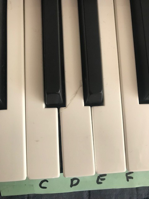 Studio Logic Numa Compact 2X 88 Key - Keyboard Piano