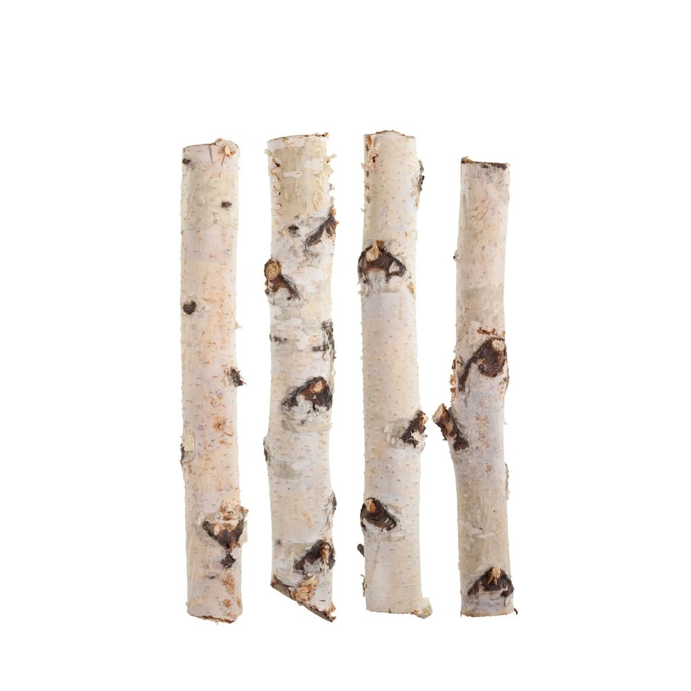 Birch Logs 16" Pack of 3
