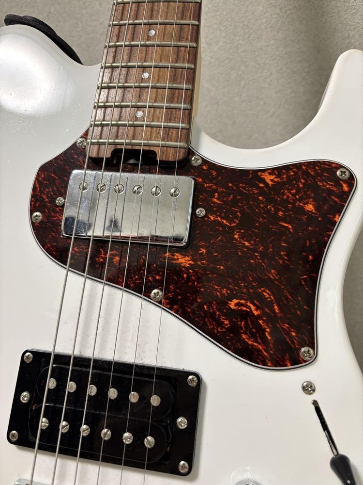 grass roots G-THROBBER-DX Snow White Safe Packing!