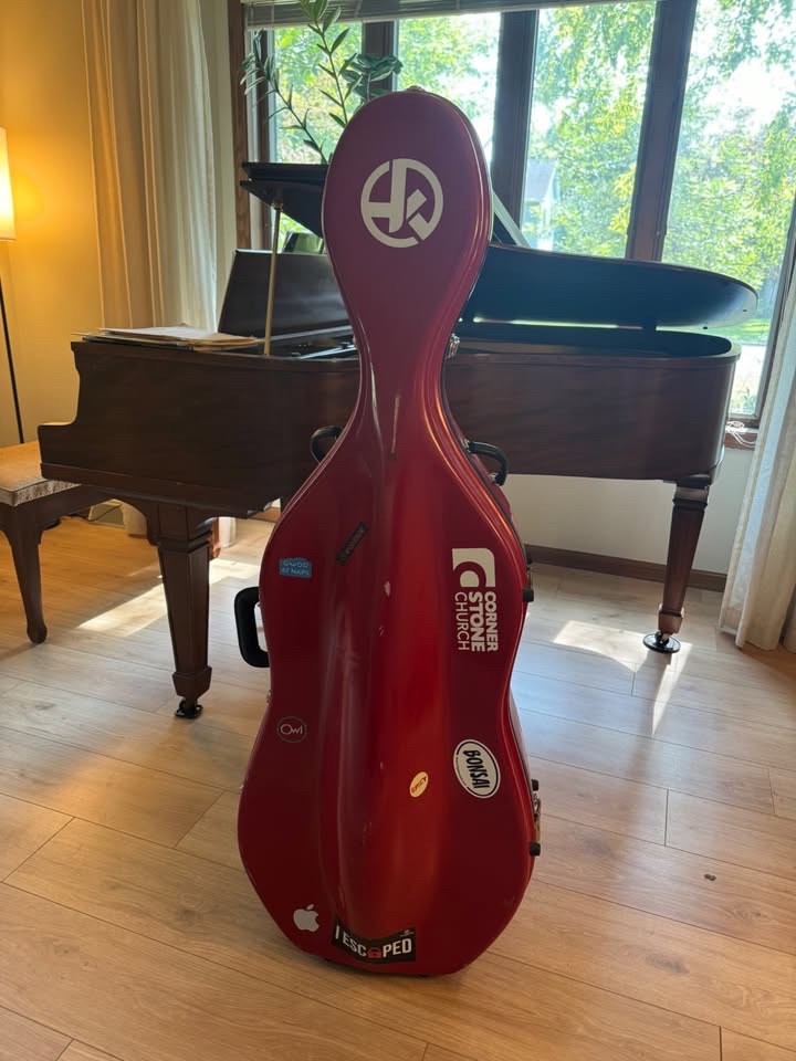 Anton Krutz Cello Model 750 (2012)
