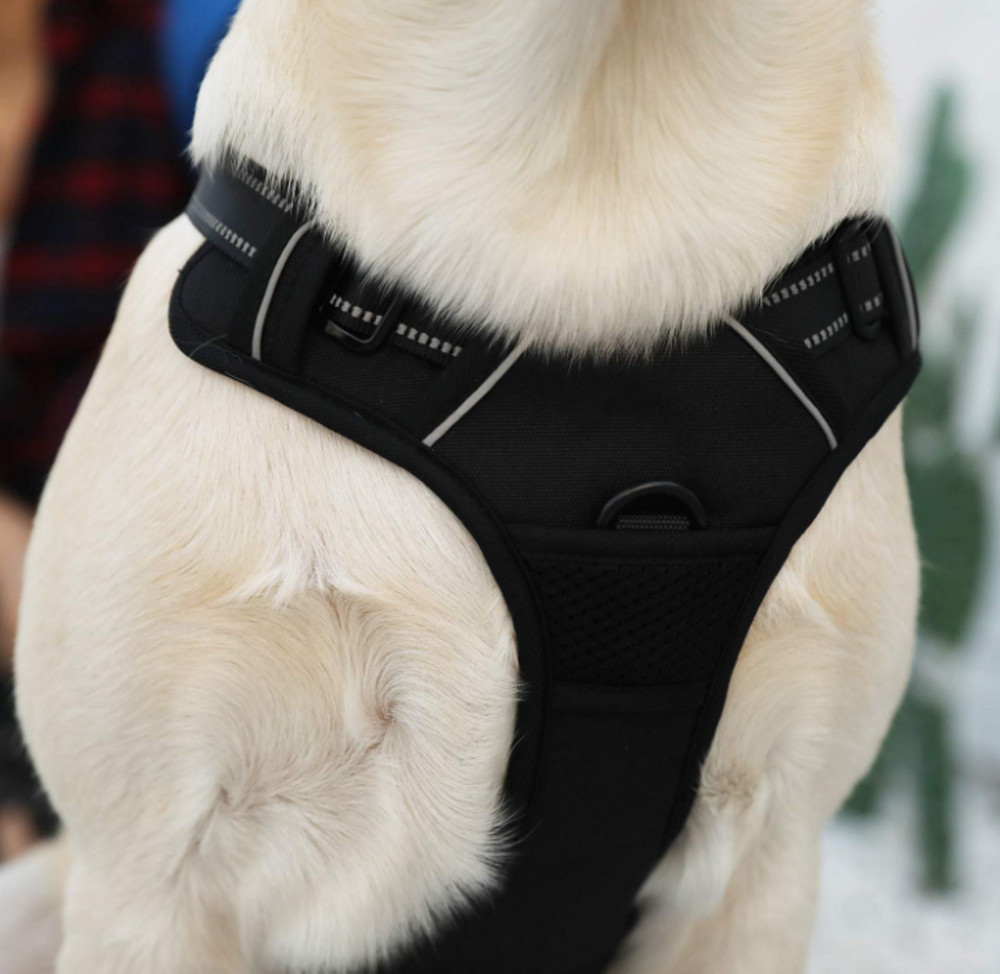 Dog Pet Harness Control Adjustable Vest with Handle M,L,XL