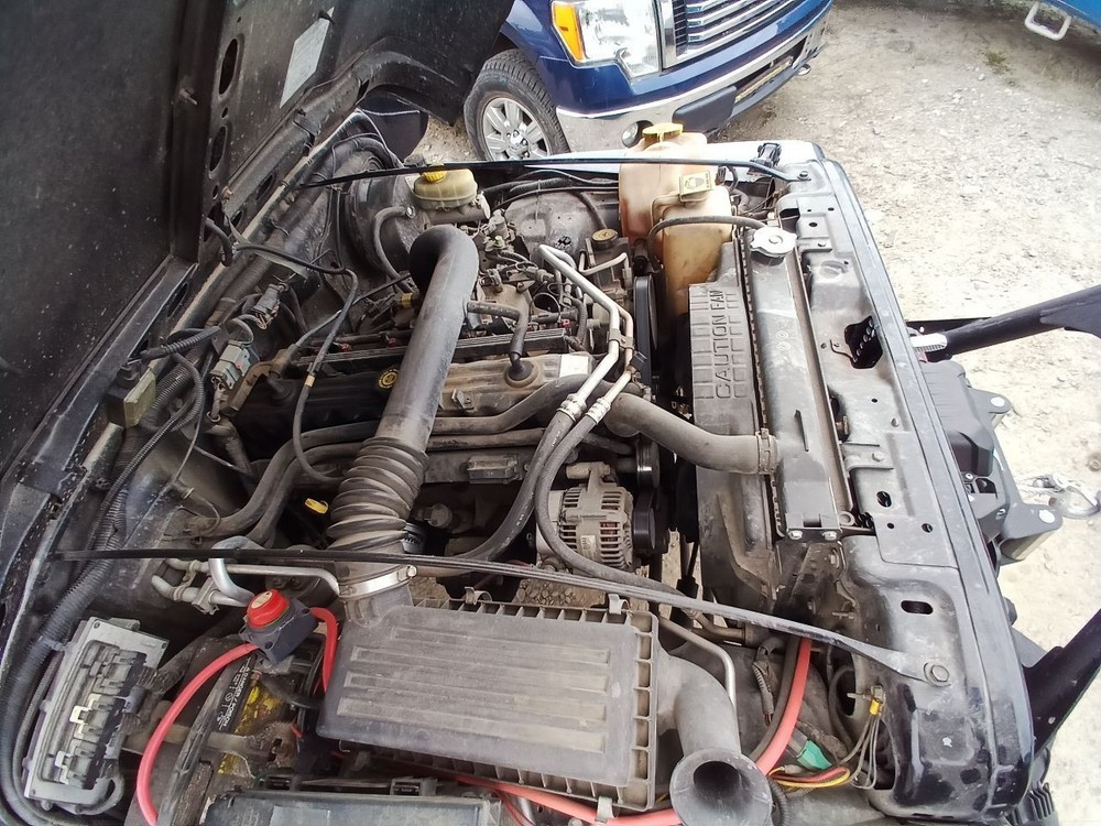 2004 WRANGLER Jack 12825382