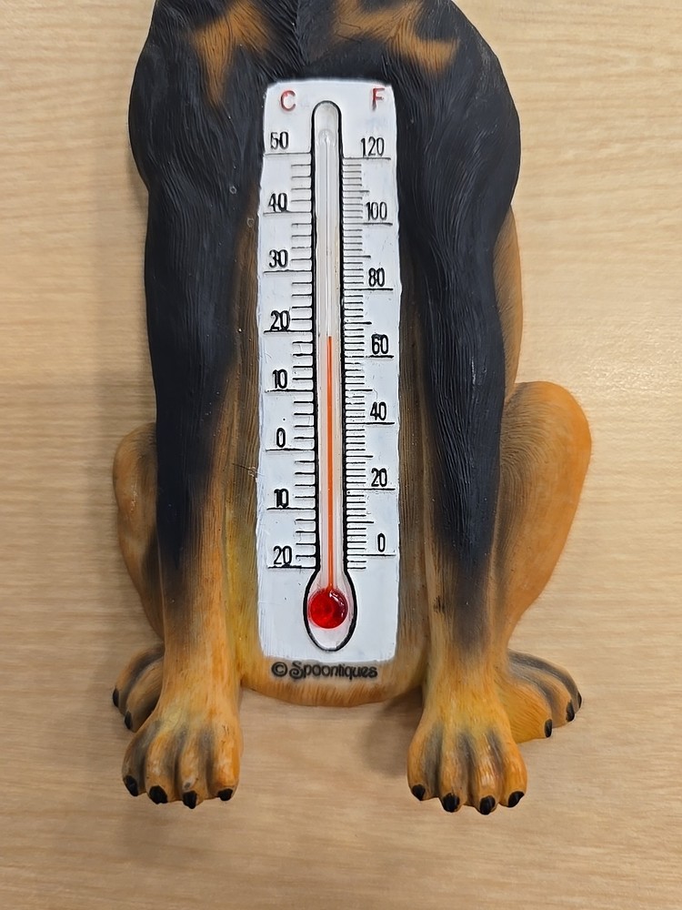 Diberman Pinscher Thermometer