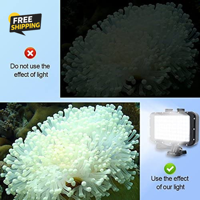Underwater Lights Dive Light 84 LED High Power Dimmable Waterproof LED