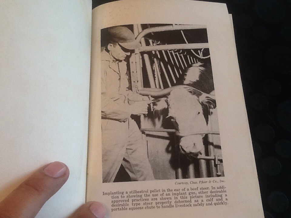 Approved Practices In Beef Cattle Production 3rd Edition 1964