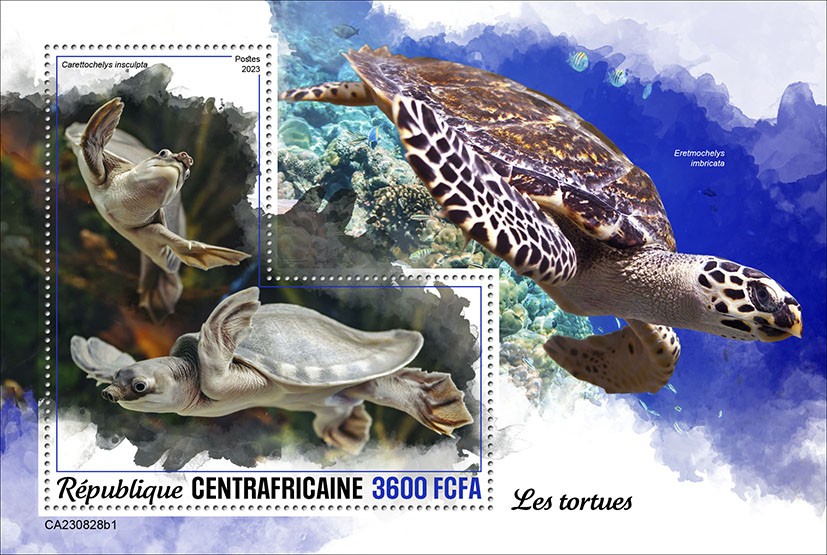 Turtles