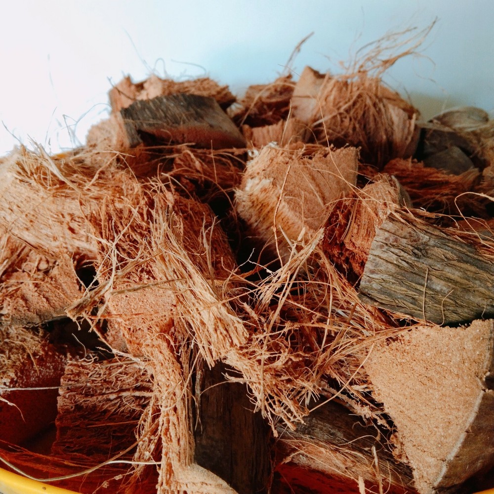 COCONUT HUSK CHIPS Anthurium GROWING MEDIUM moderate MOISTURE LEVEL Free Ship