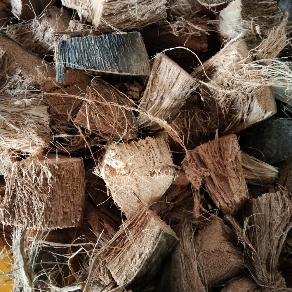 COCONUT HUSK CHIPS Anthurium GROWING MEDIUM moderate MOISTURE LEVEL Free Ship