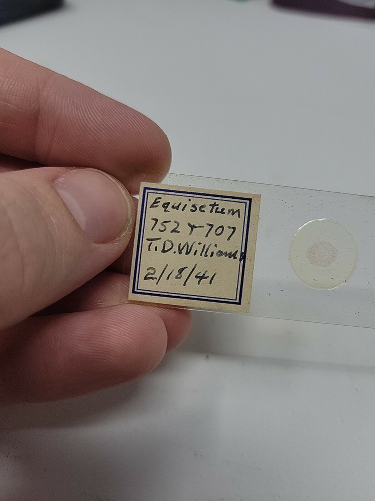 Vintage Microscope Slide 1941