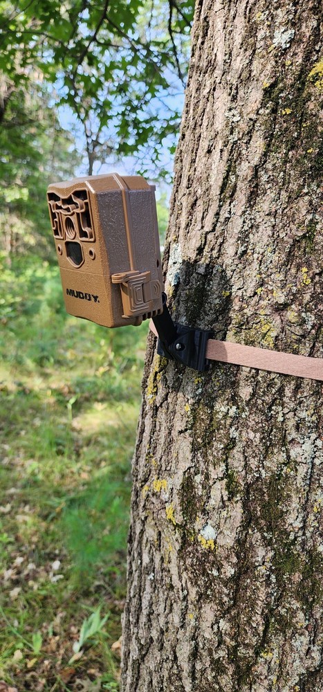 Muddy Pro Cam 18 Adjustable Trail Camera Tree Mount (MUD-MTC300)