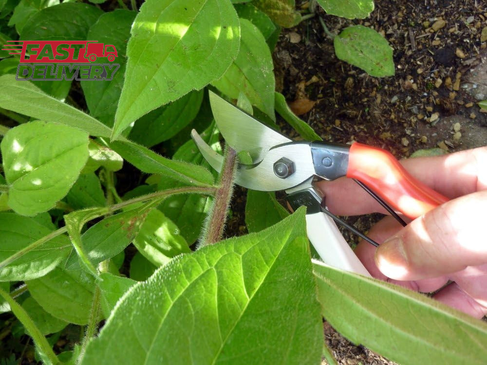 Okatsune 103 Bypass Pruners General Purpose Medium (One Pack)